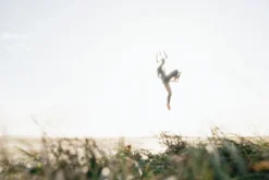 Mystic Neoprenanzug Jayde Fullsuit M Double Fzip Women 3/2 Damen Langarm 410-Navy 2023 -Günstiges Board Neo Geschäft 114025 c7bc22f08923504a7bbee19e28b6797170c95086 1 jpg