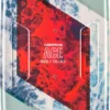 Cabrinha Kiteboard Ace Wood Div. 2022