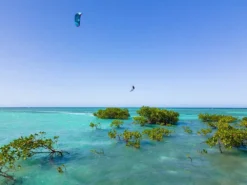 Gaastra Tubekite IQ C3 Red 2021 9 Gaastra Tubekite IQ C3 Red 2021 -Günstiges Board Neo Geschäft DJI 0296 2 28 jpg