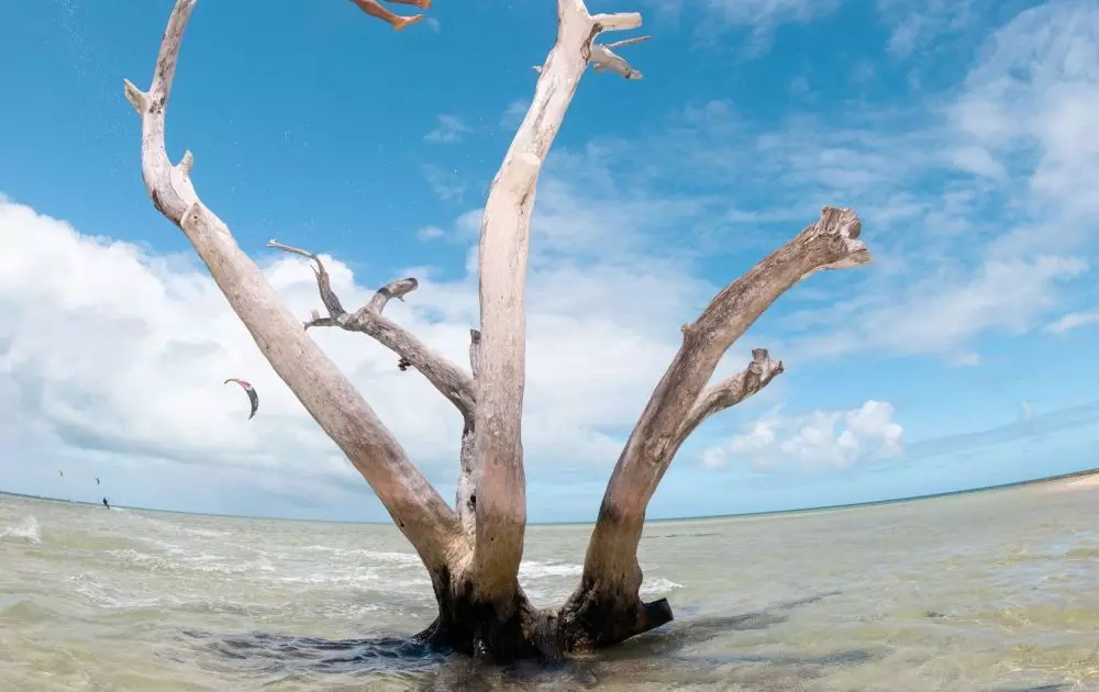 Duotone Tubekite Evo SLS C0:dark-grey 2023 2 Duotone Tubekite Evo SLS C0:dark-grey 2023 – Bild 2