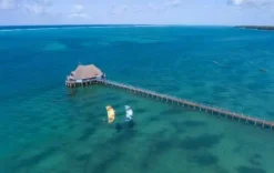 Duotone Tubekite Rebel SLS C0:light-grey 2023 -Günstiges Board Neo Geschäft Website Pics Size3 31 jpg