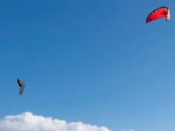 Naish Tubekite Phoenix Black 2023 -Günstiges Board Neo Geschäft phoenix5 9